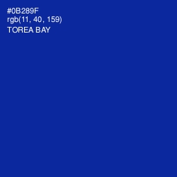 #0B289F - Torea Bay Color Image